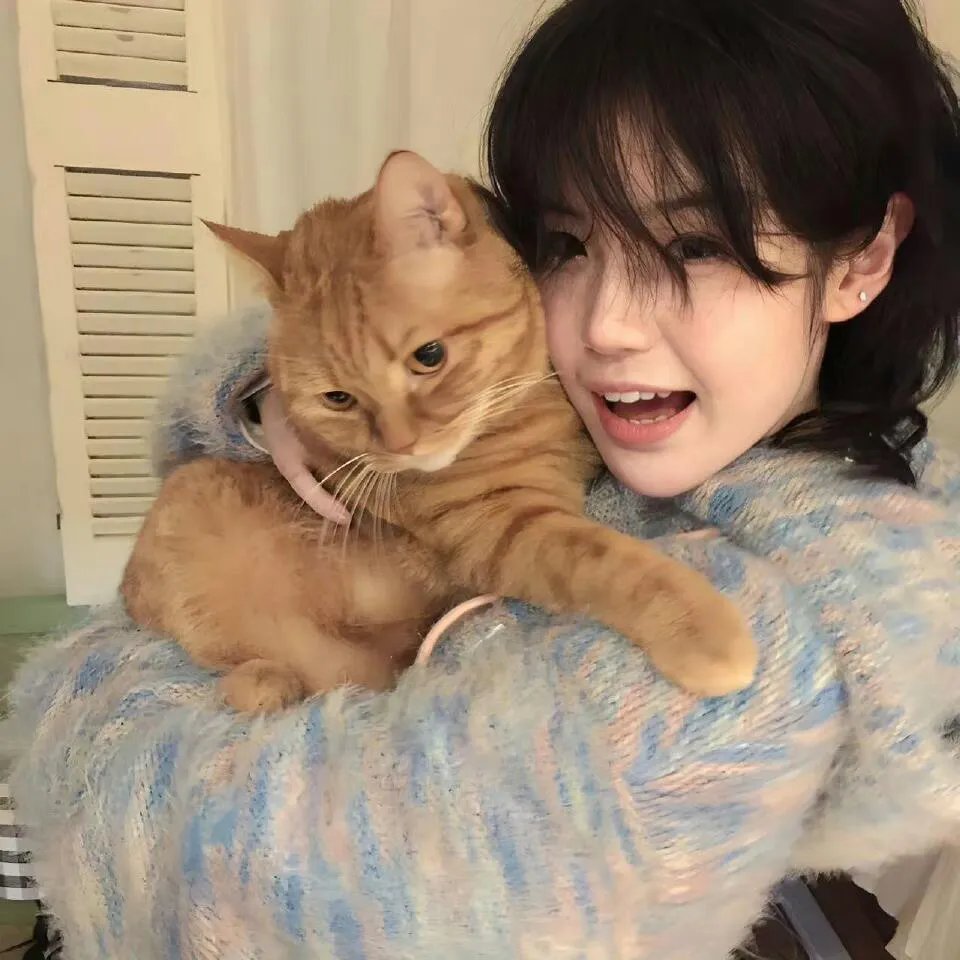 肥猫斗小强电影版